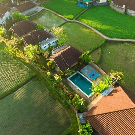 Ubud Glassy Villa By Pramana Villas Luaran gambar