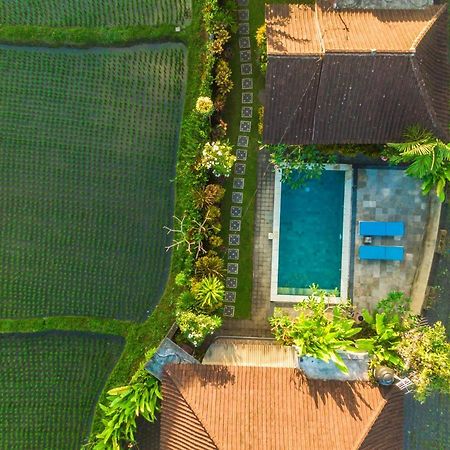 Ubud Glassy Villa By Pramana Villas Luaran gambar