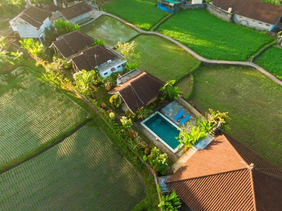 Ubud Glassy Villa By Pramana Villas Luaran gambar
