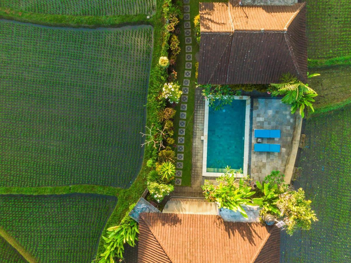 Ubud Glassy Villa By Pramana Villas Luaran gambar